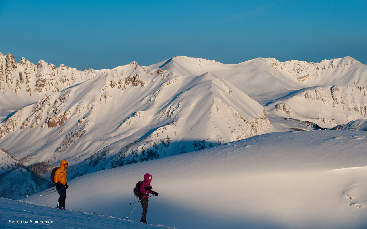 Portfolio-5 Portfolio-5