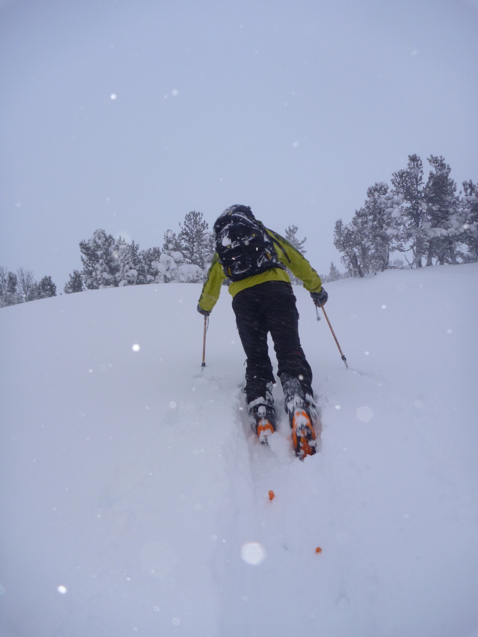 Dan skinning Dan skinning