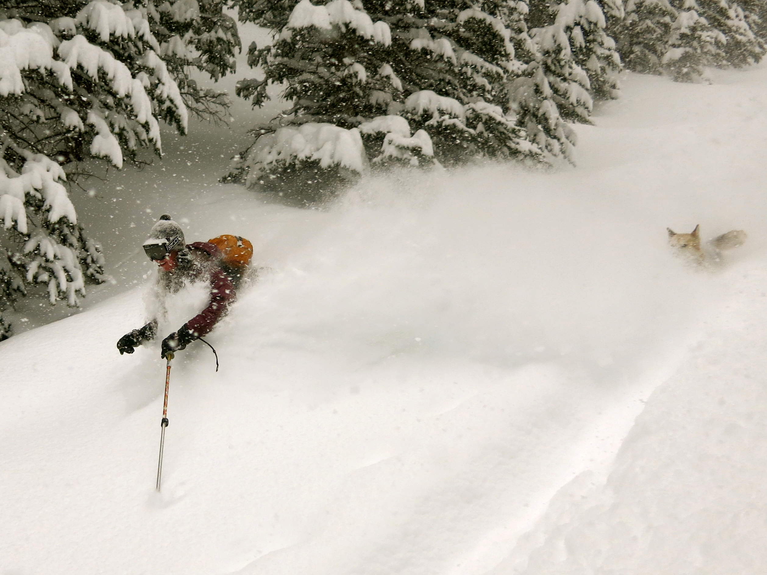 Winter201410 Winter201410