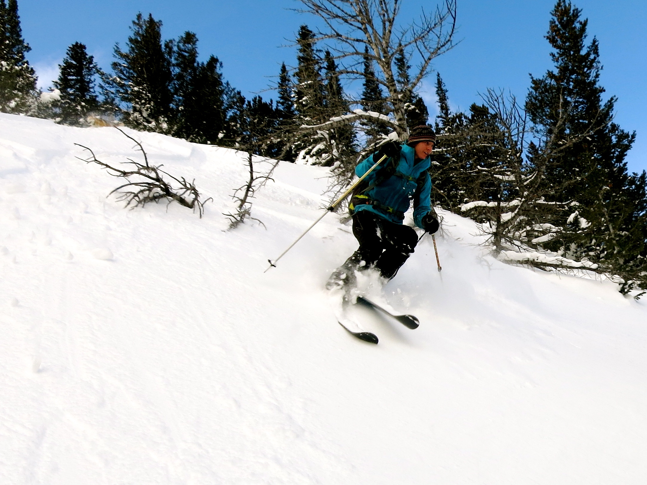 Winter201405 Winter201405