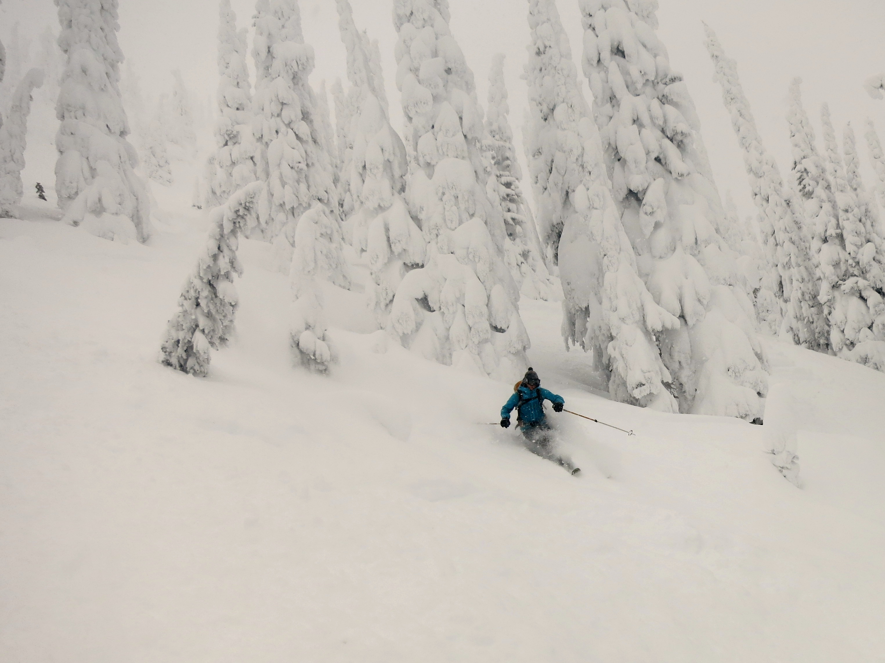 Winter201409 Winter201409