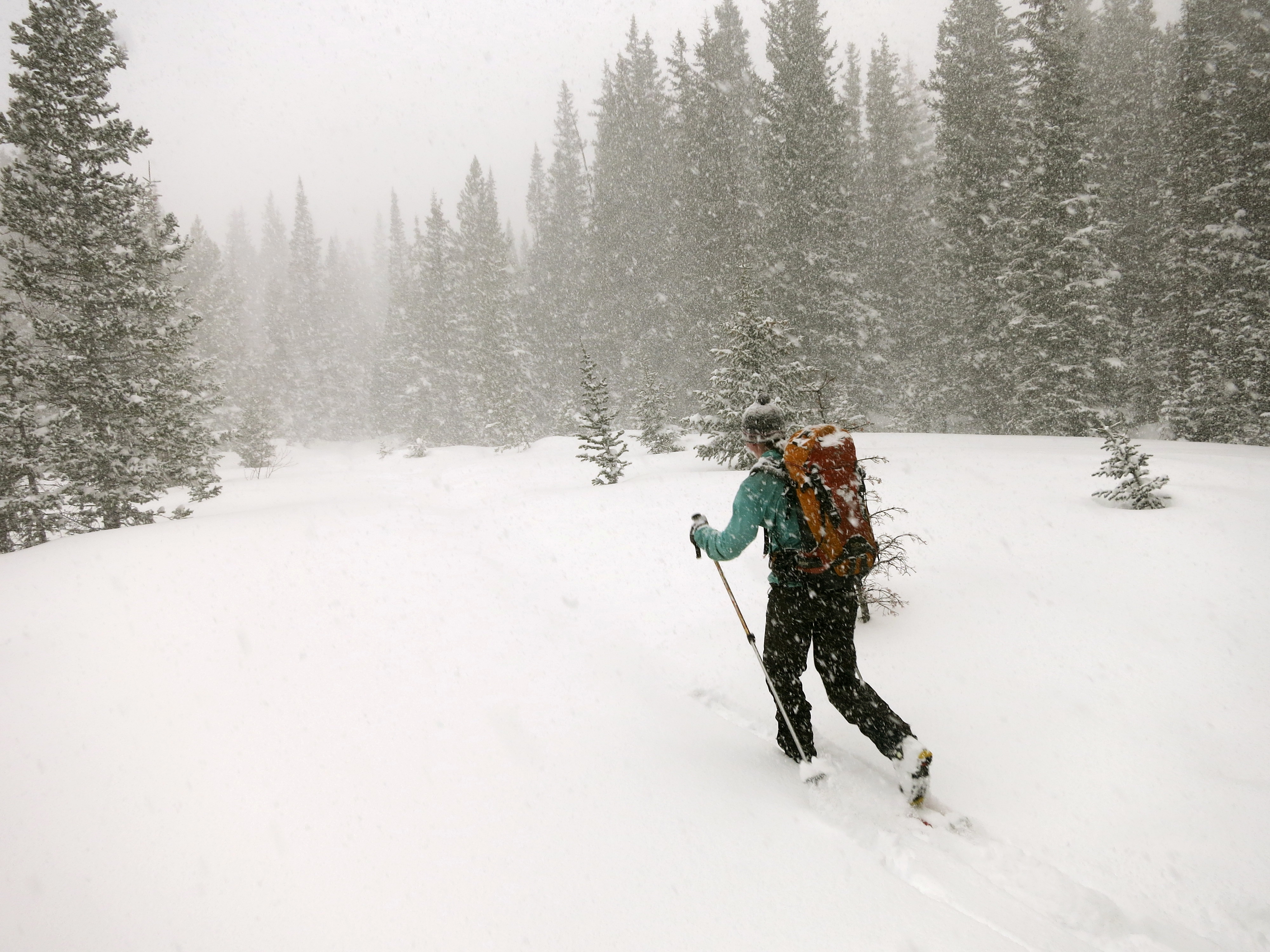 Winter201401 Winter201401