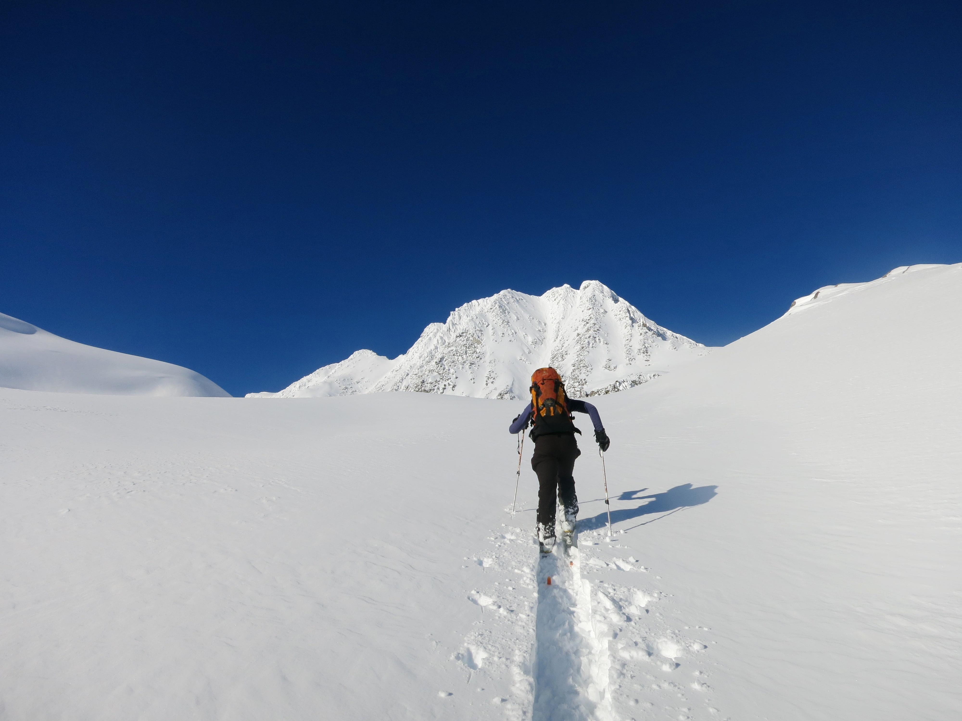 Winter201406 Winter201406