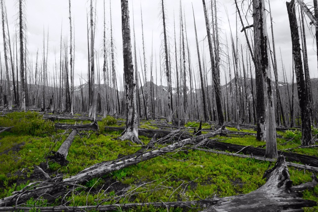 CDT hike July 11-14 – Steamboat to Encampment, Wyoming