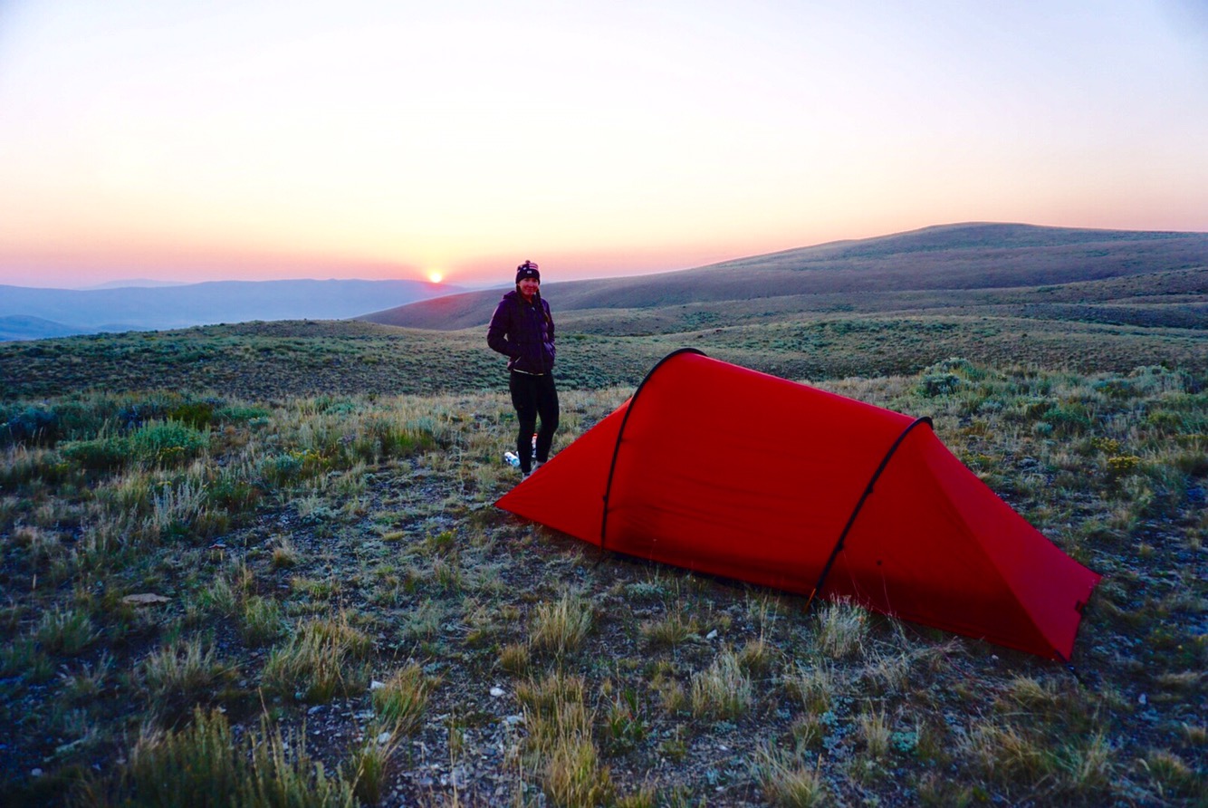 87d4420c-dd86-4725-8b55-8c5c235bea59