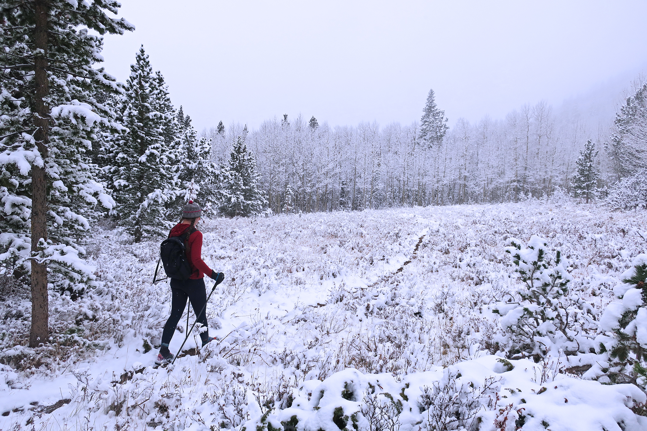 snowywalk
