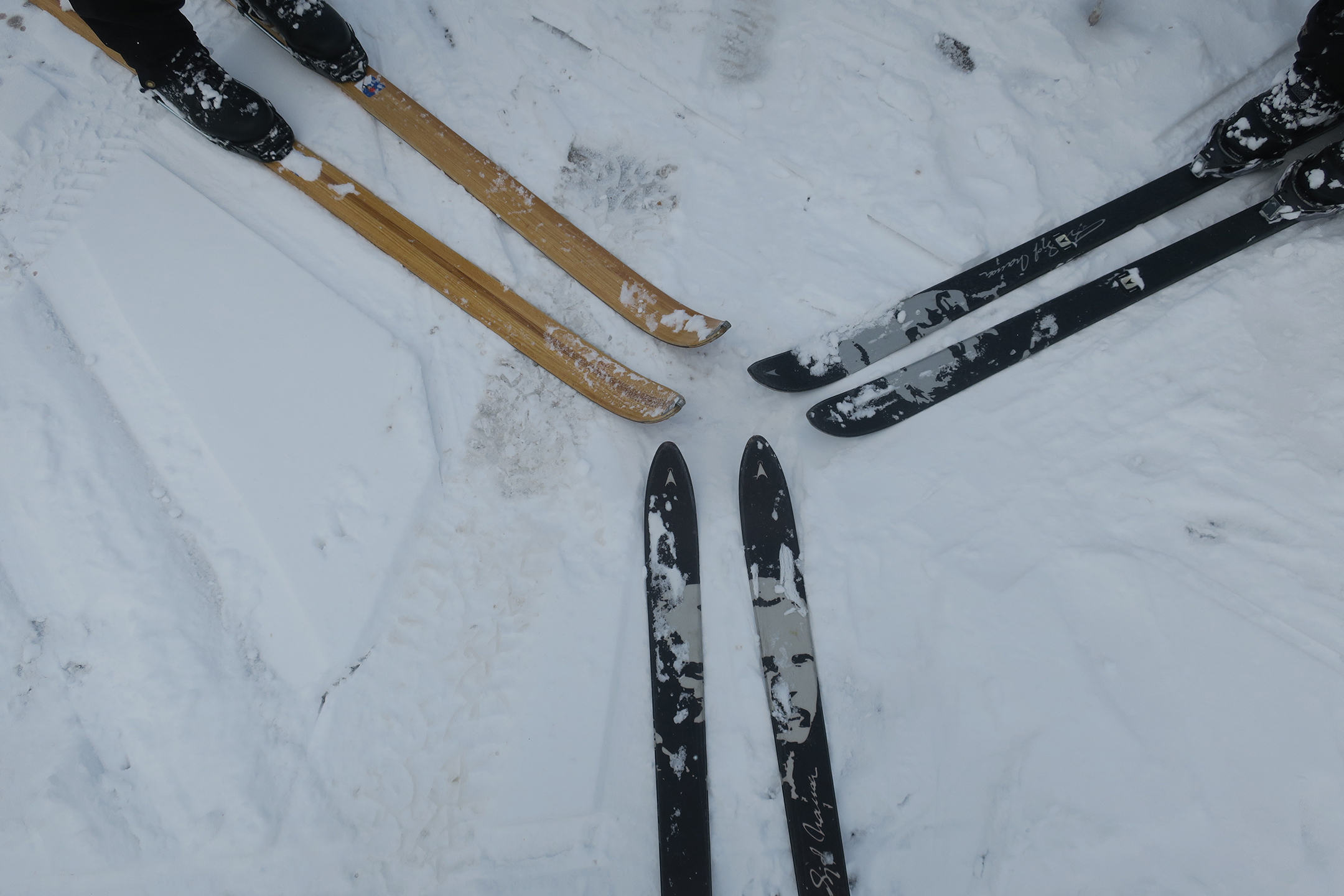 nordicskis