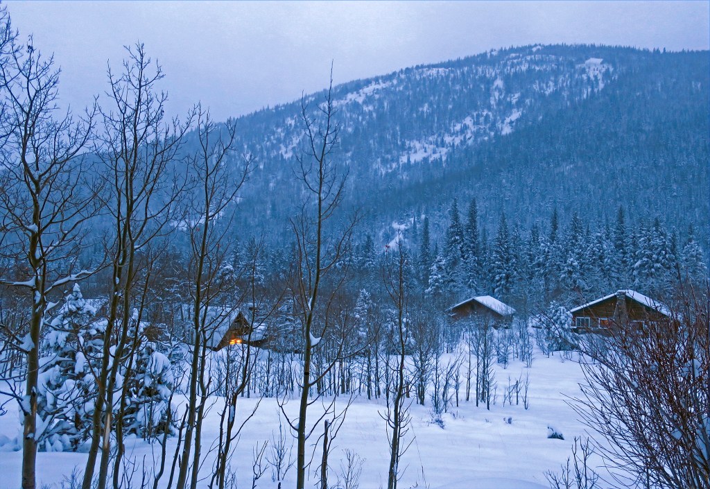 The Quiet Snow of&nbsp;Spring