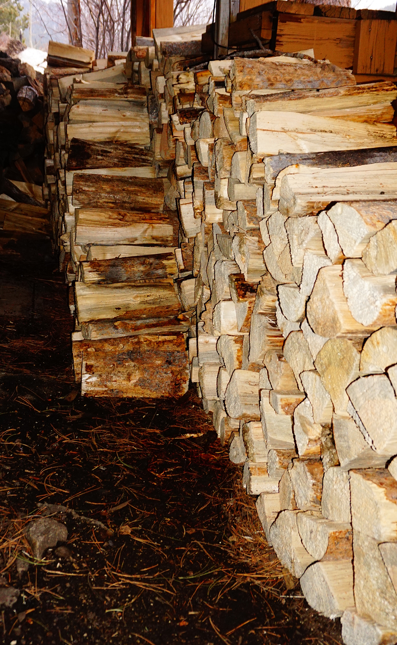 woodpile