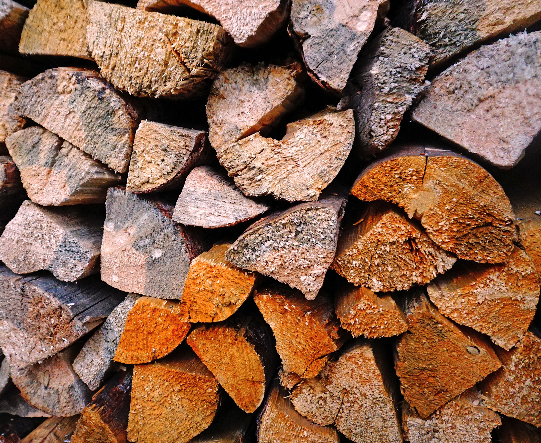 woodpile2